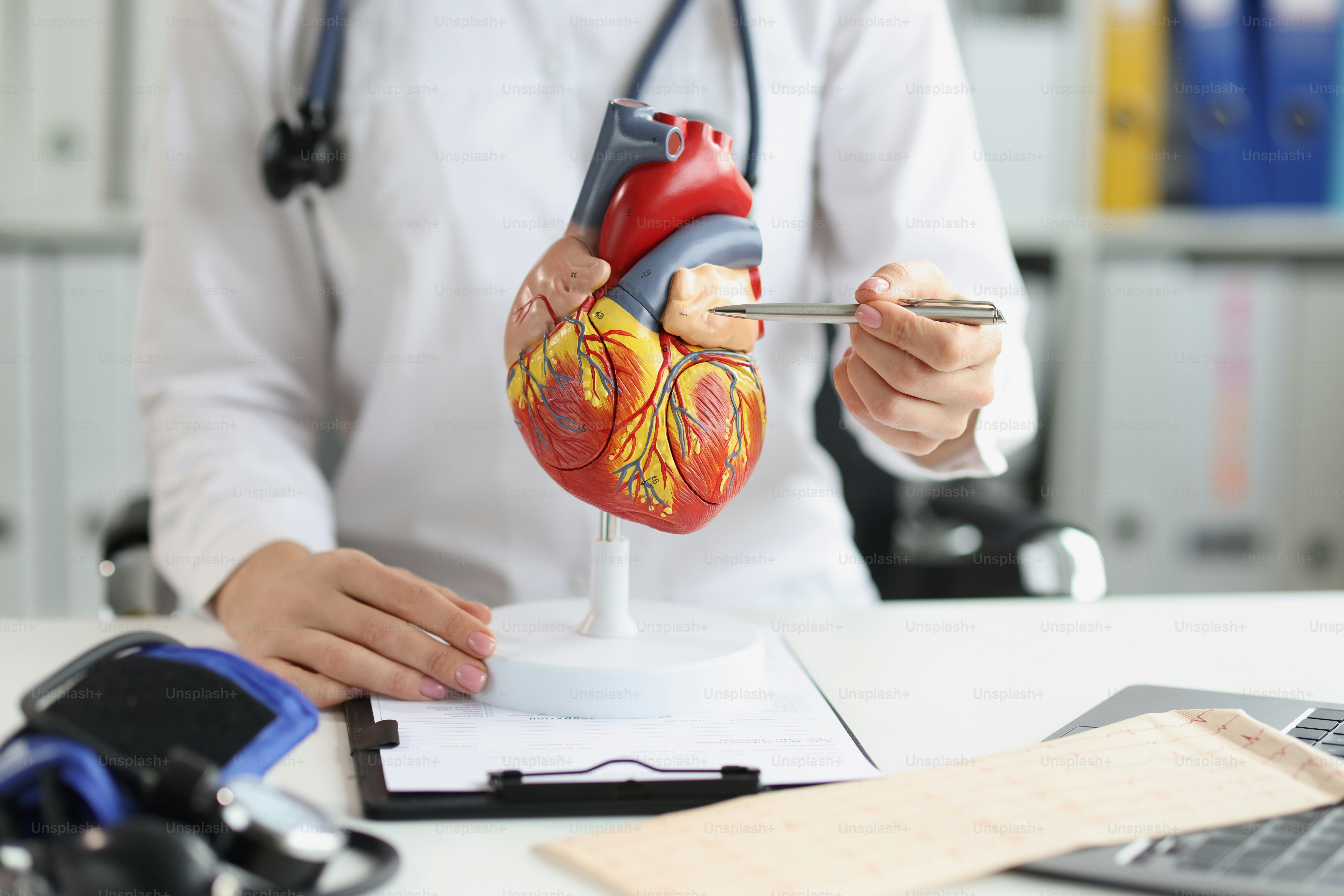 Woman doctor shows a plastic model of the heart, close-up. Training material for a cardiologist, a surgeon's workplace